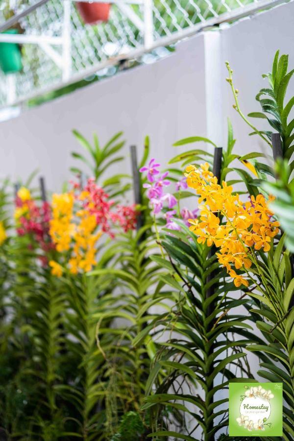 Can Tho Orchid Garden Homestay Екстер'єр фото